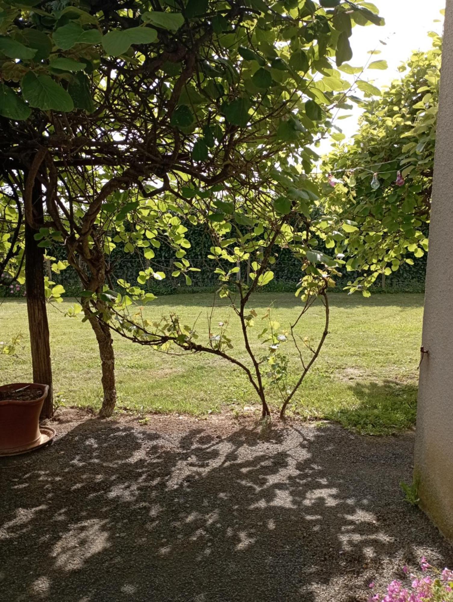 Le Gite De Margot Beyssac Exterior photo
